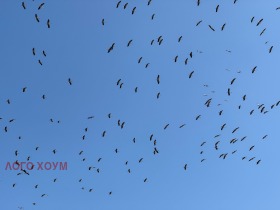 ������� ������ | Imot.bg � ����� ������ 2