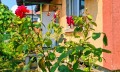 Продава КЪЩА, гр. София, Обеля, снимка 5