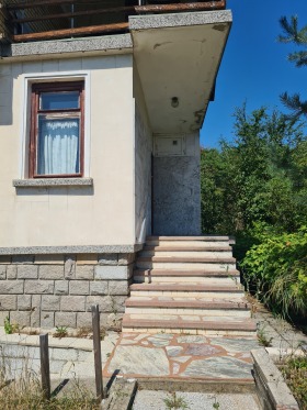 Hus Gorni Okol, region Sofia 6