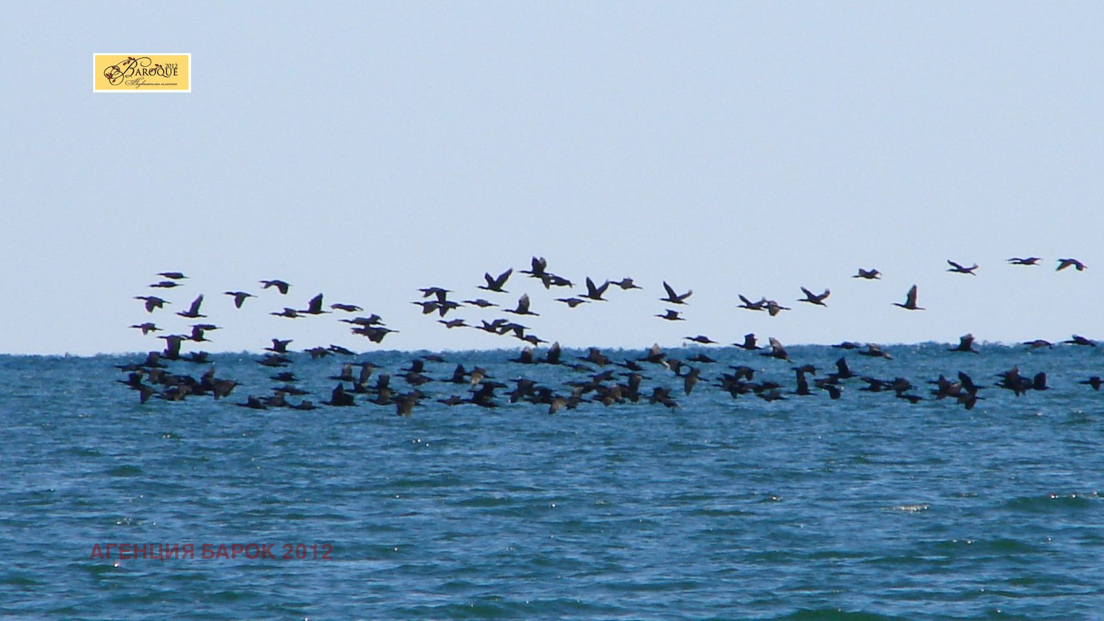 Продава КЪЩА, Извън страната, област Извън страната, снимка 2 - Къщи - 54231463