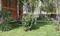 Продава 1-СТАЕН, област Бургас, к.к. Слънчев бряг • 49900 € / 97595.92 лв. • 80742430 12
