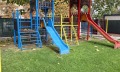 Продава 1-СТАЕН, област Бургас, к.к. Слънчев бряг • 49900 € / 97595.92 лв. • 80742430 10