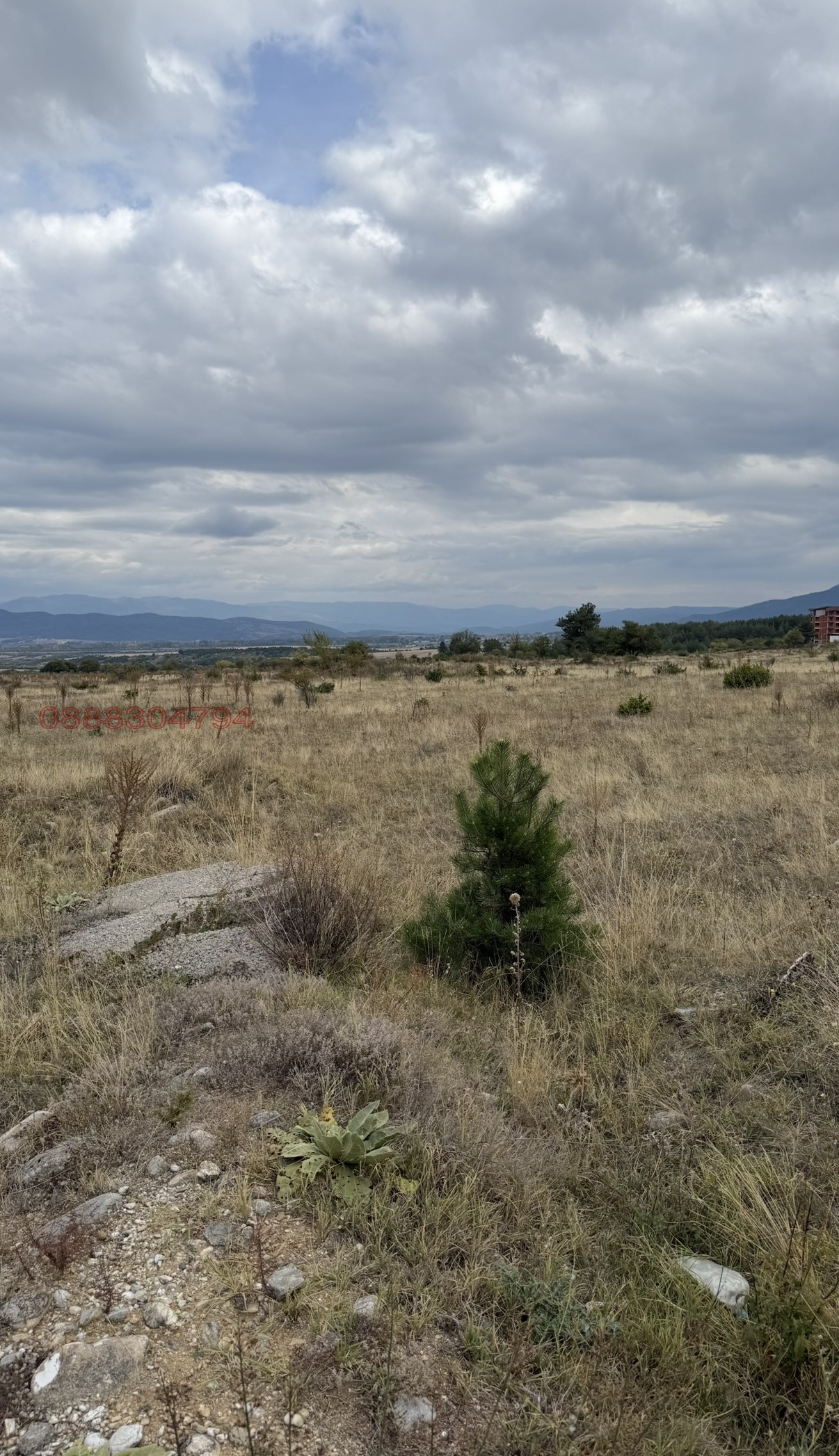 ������� ������ | Imot.bg � ����������� 4