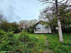 ����� ������� ����,���� �����, ���������