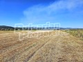 Продава ПАРЦЕЛ, с. Белчин, област София област, снимка 5