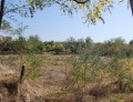 Продава ПАРЦЕЛ, област Стара Загора, с. Оряховица • 15950 € • 13422520 — Holmes.bg