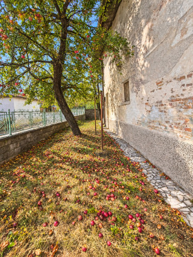 ������� ���� | Imot.bg � ����� ������ 10