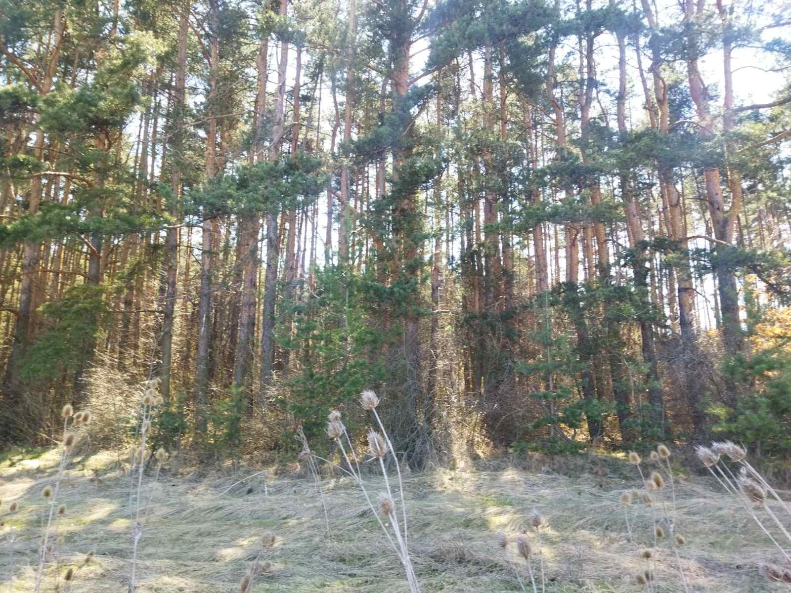 Продава ПАРЦЕЛ, гр. София, м-т яз. Искър, снимка 5 - Парцели - 54394015