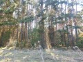 Продава ПАРЦЕЛ, гр. София, м-т яз. Искър, снимка 5