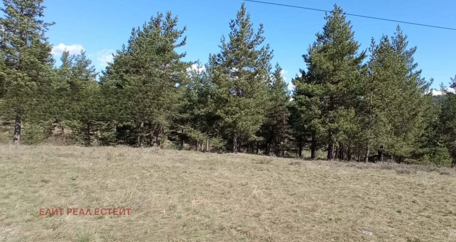 Продава ПАРЦЕЛ, с. Баня, област Благоевград