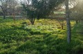 Продава  Къща област Варна , с. Дъбравино , 140 кв.м | 68797491 - изображение [15]