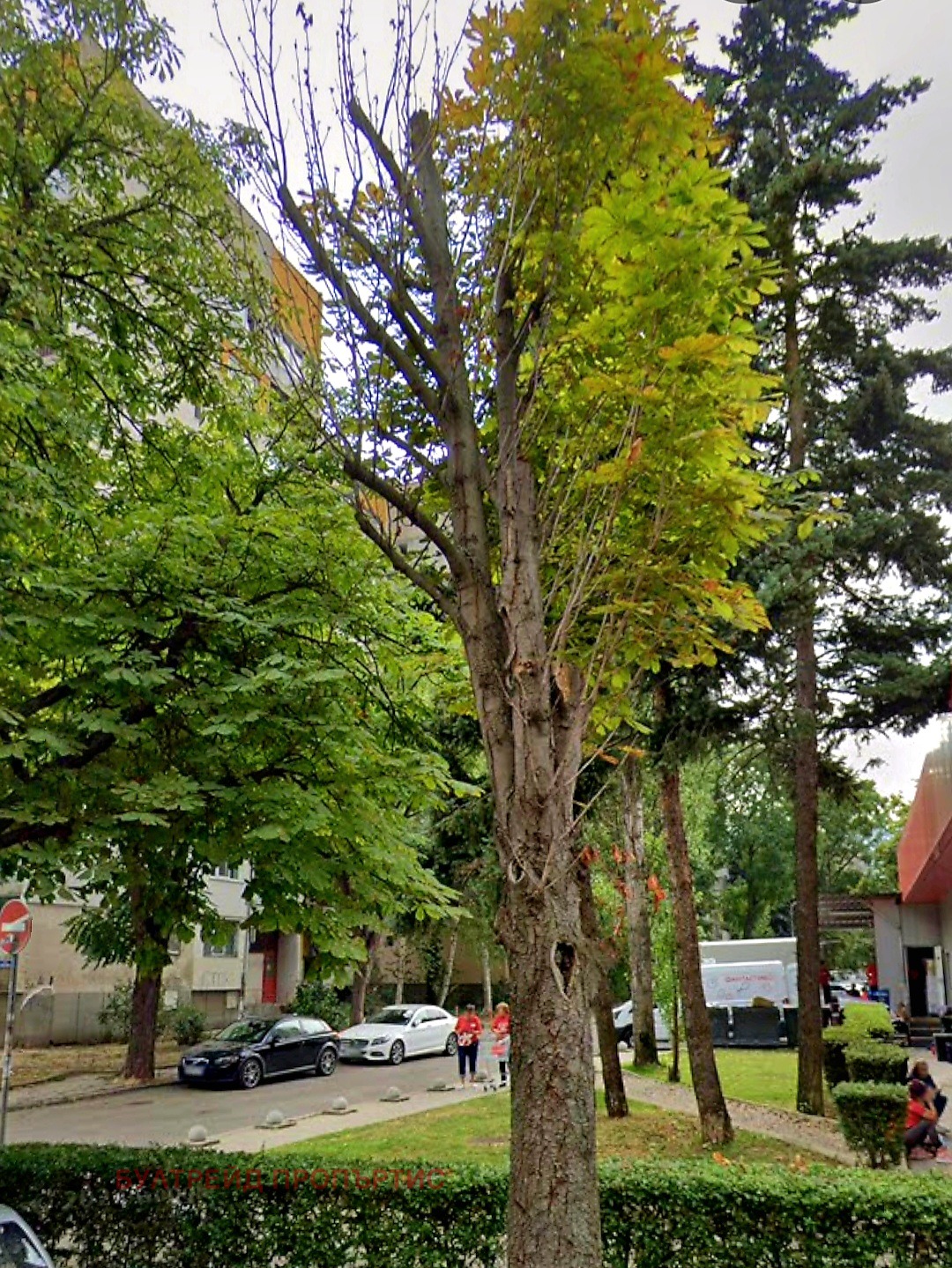 ������� 3-����� | Imot.bg � ����������� 2