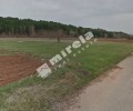 Продава  Парцел град София , с. Локорско , 4737 кв.м | 36742946 - изображение [2]