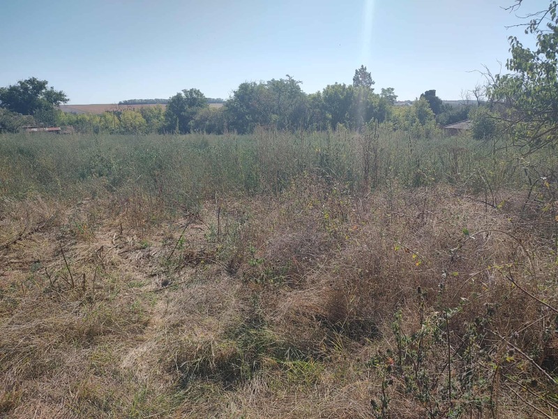 Продава ПАРЦЕЛ в област Добрич, с. Изворово - 2250 кв.м / 6 200 € » 12 126.15 лв., РУДИ КЕЙ ДОБРИЧ