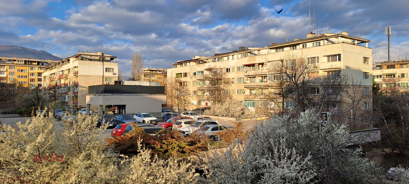 ������� 3-����� | Imot.bg � ����������� 1