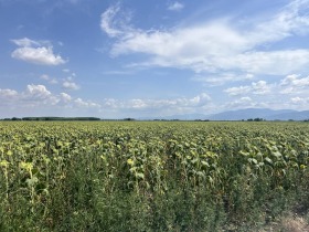 Trama Iagodovo, região Plovdiv 1