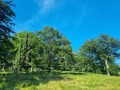 Продава ПАРЦЕЛ, с. Здравец, област Варна, снимка 11