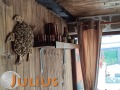 Продава КЪЩА, с. Пролом, област Пловдив, снимка 17