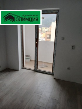 ����� ������� �������,���� �����, ������