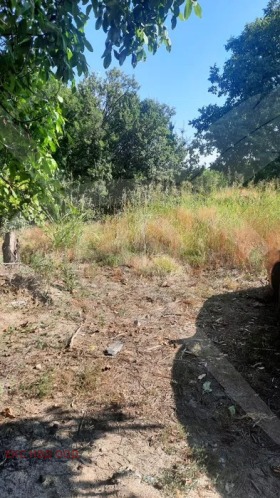 ������� ������ | Imot.bg � ����� ������ 5