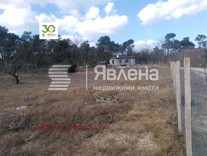 À vendre  Parcelle Varna , m-t Borovets - sever , 905 m² | 40323225 - image [3]