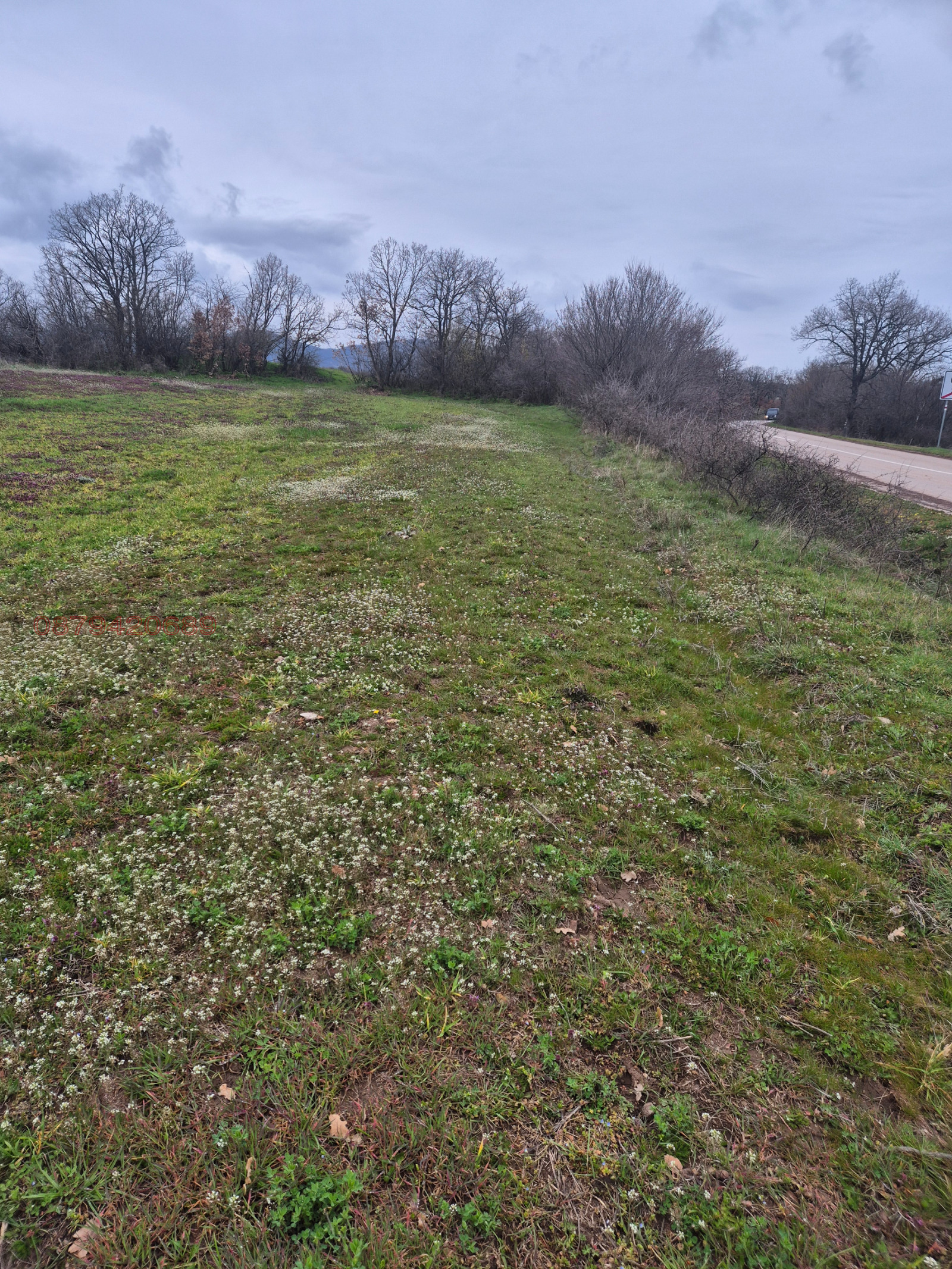 Продава ПАРЦЕЛ, с. Сираково, област Хасково, снимка 3 - Парцели - 53944671