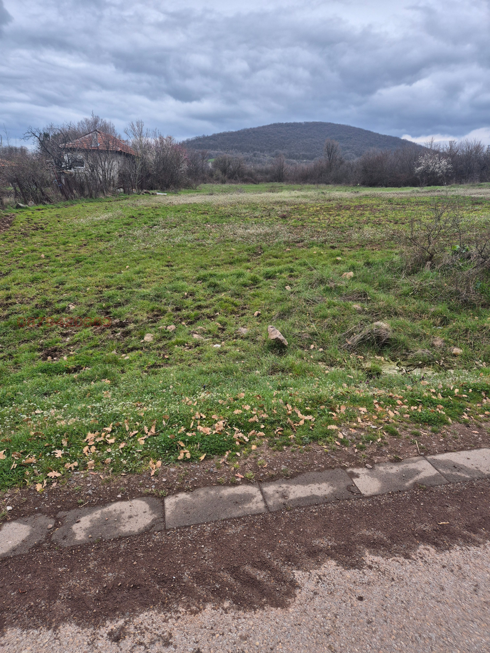 Продава ПАРЦЕЛ, с. Сираково, област Хасково, снимка 4 - Парцели - 53944671