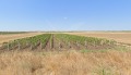Продава ПАРЦЕЛ, област Бургас, гр. Поморие • 400000 € • 40031802 — Holmes.bg