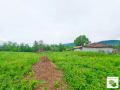 Продава ПАРЦЕЛ, област Велико Търново, с. Миндя • 18000 € • 45139830 — Holmes.bg
