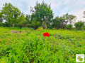 Продава ПАРЦЕЛ, област Велико Търново, с. Миндя • 18000 € • 45139830 — Holmes.bg