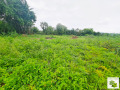 Продава ПАРЦЕЛ, област Велико Търново, с. Миндя • 18000 € • 45139830 — Holmes.bg