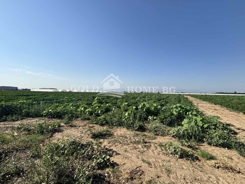 De vânzare  Complot regiunea Plovdiv , Trud , 2760 mp | 77212924 - imagine [3]
