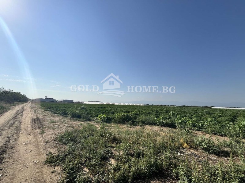 De vânzare  Complot regiunea Plovdiv , Trud , 2760 mp | 77212924 - imagine [2]