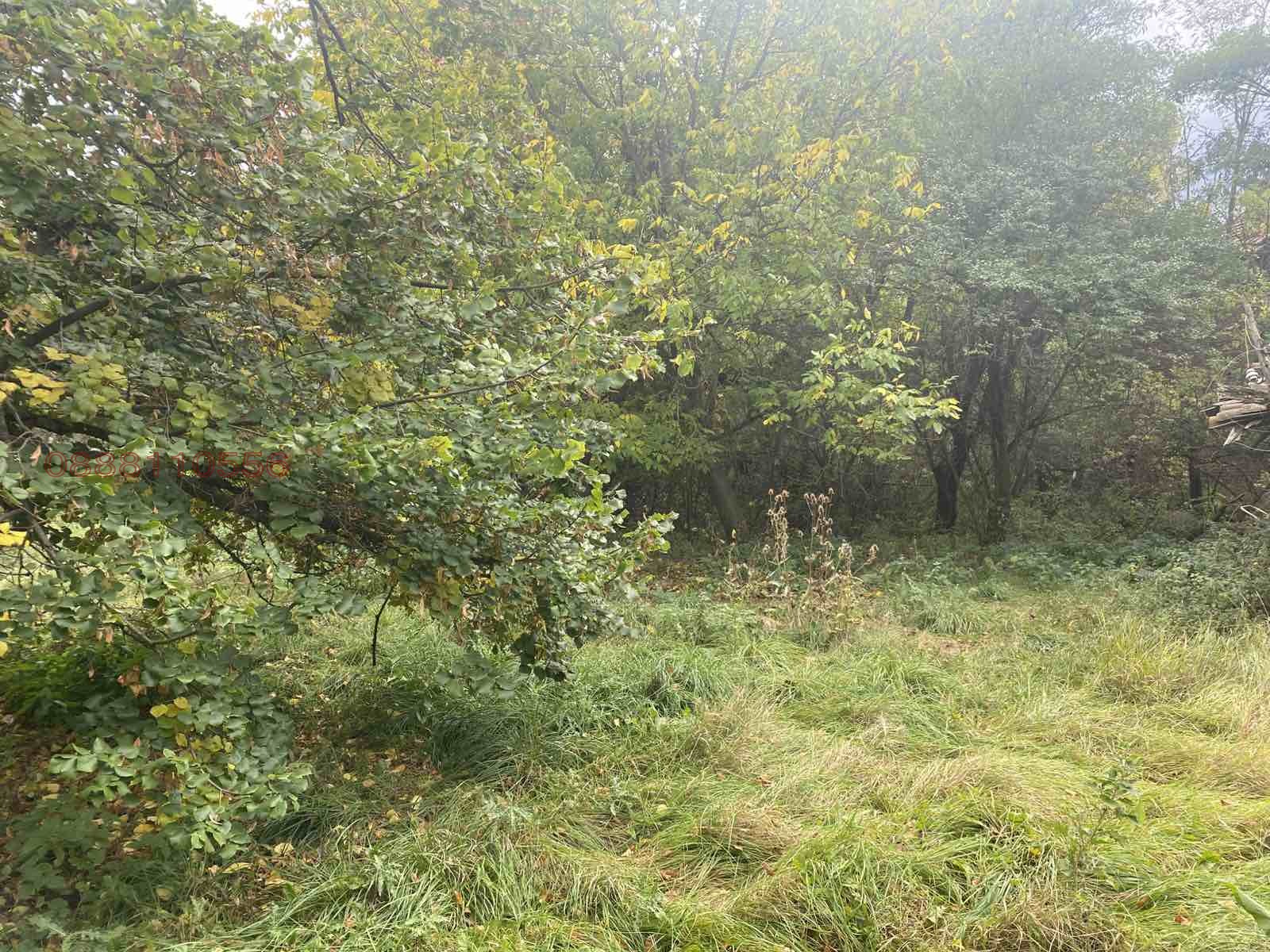 Продава КЪЩА | Imot.bg — изображение 15