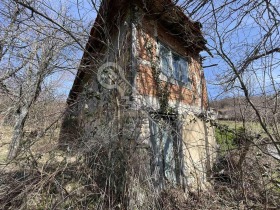 ����� ������� ����,�. �������, ������ ������ �������