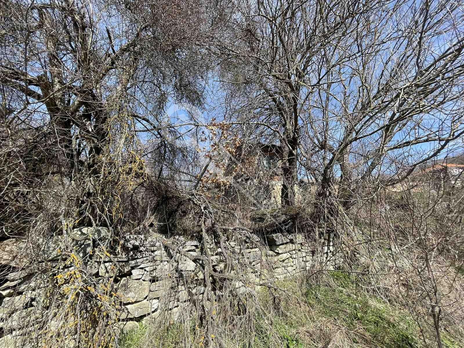 Продава КЪЩА, с. Войнежа, област Велико Търново, снимка 5 - Къщи - 53783152