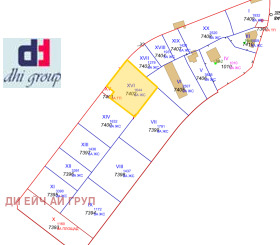 ����� ������� ������,���� �����, ���������