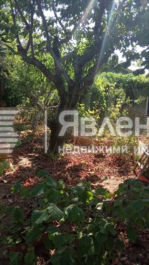 Продава КЪЩА, гр. Варна, м-т Боровец - юг, снимка 5 - Къщи - 56109037