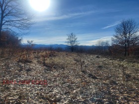 Парцел с. Старо село, област Ловеч 5