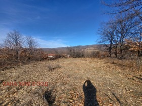 Парцел с. Старо село, област Ловеч 9