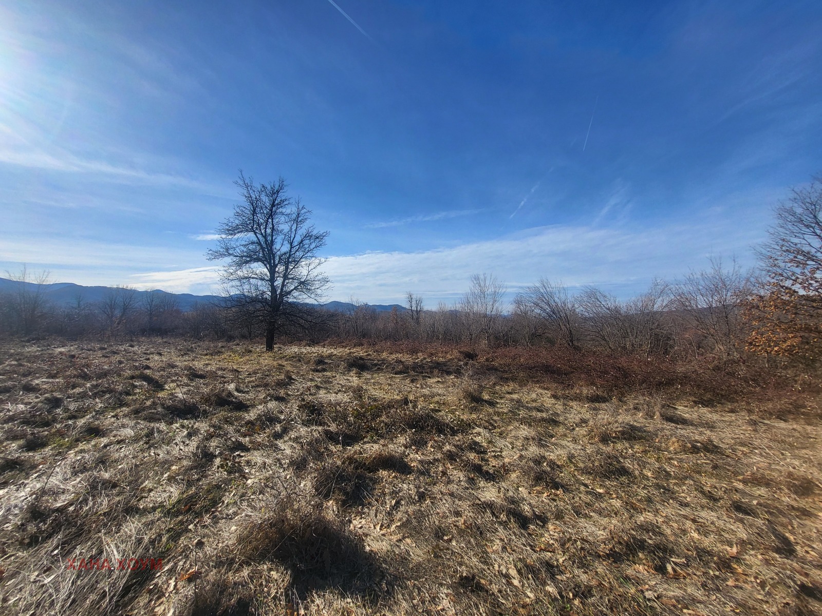 Продава ПАРЦЕЛ, с. Старо село, област Ловеч, снимка 2 - Парцели - 48835550