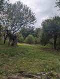 Продава КЪЩА, град Габрово, Дядо Дянко • 160000 лв. / 81806.70 € • 55575821 15