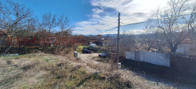 Plott Debelets, region Veliko Tarnovo 10