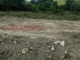 Plott Debelets, region Veliko Tarnovo 7