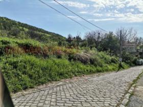Plott Debelets, region Veliko Tarnovo 2