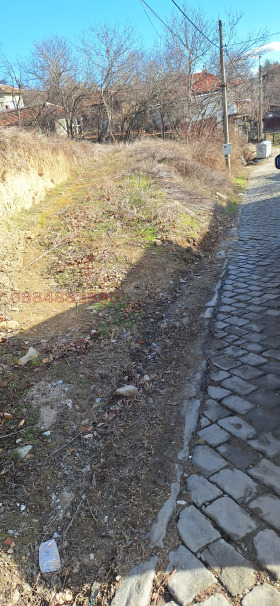 Plott Debelets, region Veliko Tarnovo 9