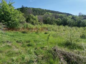Plott Debelets, region Veliko Tarnovo 1