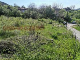 Plott Debelets, region Veliko Tarnovo 3