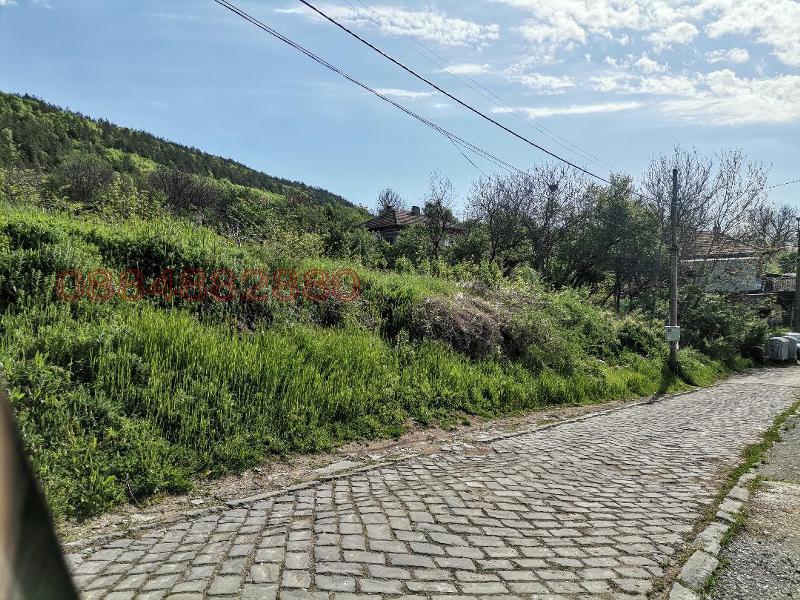 Til salgs  Plott region Veliko Tarnovo , Debelets , 1600 kvm | 13978609 - bilde [2]