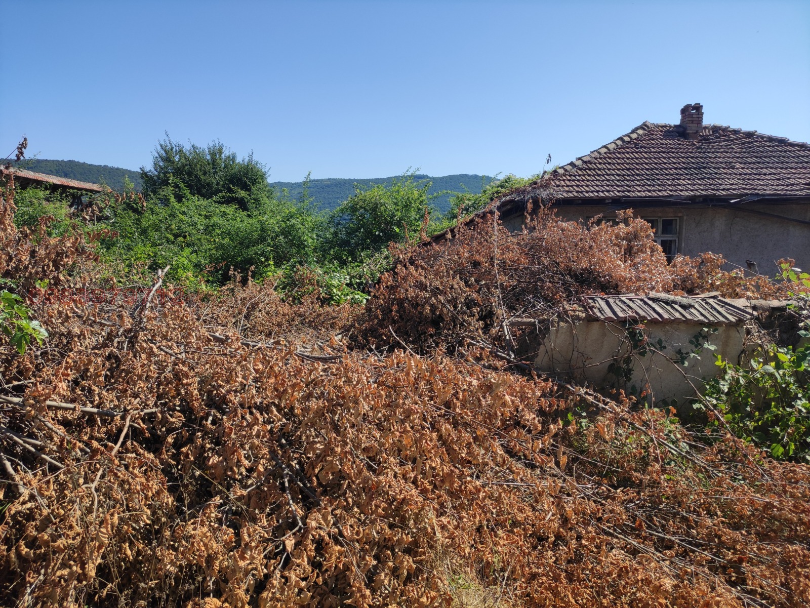 Продава КЪЩА, с. Сливовица, област Велико Търново, снимка 9 - Къщи - 55562842